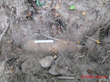 В Житомирській області грибник знайшов у лісі 100-кілограмову бомбу