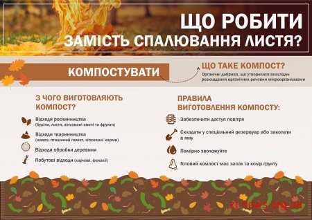 За спалювання листя та сміття житомирян можуть оштрафувати на суму до 1360 грн.
