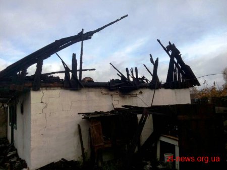 Під час пожежі на території приватного домоволодіння в Олевську ледве не загинула людина