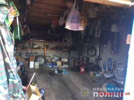 Під час обшуку в гаражі жителя Пулинського району поліцейські виявили набої та димову шашку
