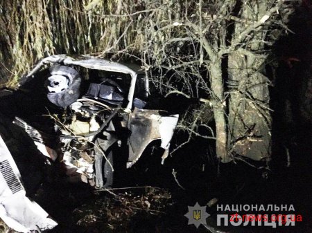 На Житомирщині ВАЗ, за кермом якого перебував неповнолітній водій, зіткнувся з деревом