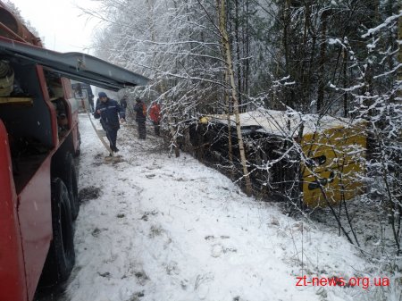 В Житомирській області «Mercedes», що перевозив хліб з’їхав у кювет та перекинувся на бік