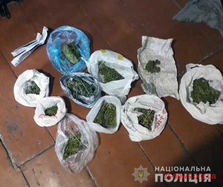 На Звягельщині працівники поліції вилучають наркотики у місцевих жителів
