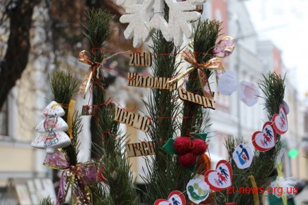 Житомиряни прикрасили ялинки на вулиці Михайлівській