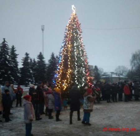 Як на Житомирщині запалювали новорічні ялинки