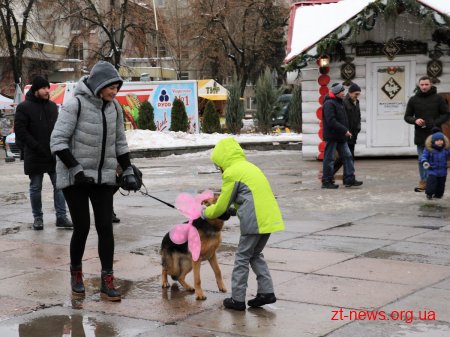 &#8203;На майдані Корольова у Житомирі влаштували костюмоване собаче дефіле