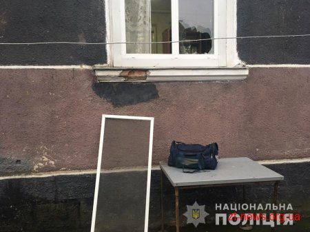 На Житомирщині поліцейські затримали домушника-палія