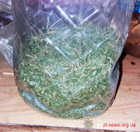 У Житомирі поліцейські вилучили наркотики з двох приватних помешкань