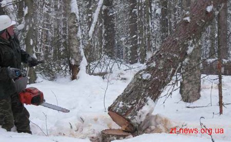 Під час валки лісу загинув житель Романівського району