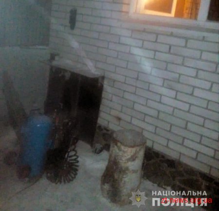 У Новограді-Волинському поліцейські охорони затримали злодія на подвір’ї обікраденого помешкання