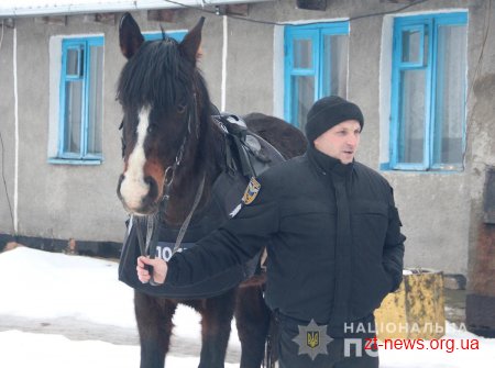 Вартові правопорядку Житомирщини познайомились з діяльністю кінної кавалерії поліції