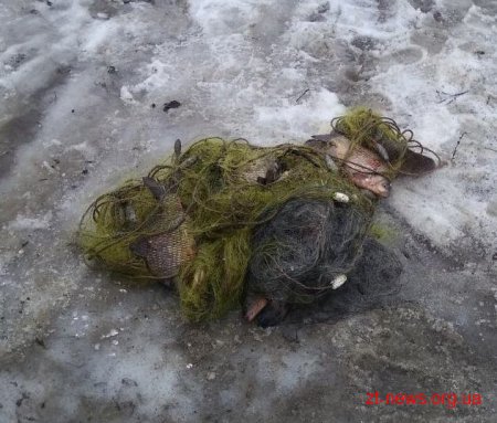 Прикордонники Житомирського загону виявили чоловіка з незаконними знаряддями лову риби