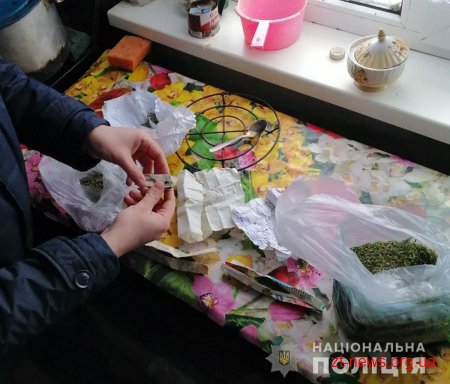 На Попільнянщині поліцейські вилучили у жителя району понад півкілограма наркотиків