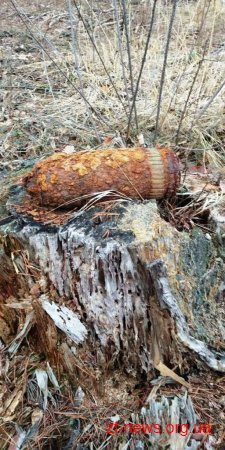 На Житомирщині лісник виявив артснаряд калібром 105 мм