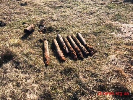 У Ємільчинському районі піротехніки знищили 7 артснарядів