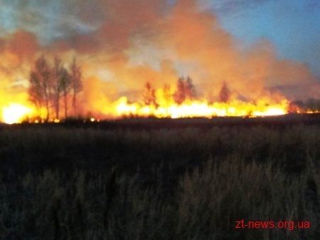 За добу по області ліквідовано 4 пожежі сухої трави на площі 4 га