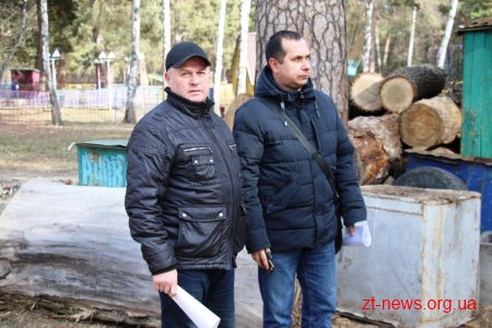 Заступник директора КП "Парк" показав в якому стані були аварійні дерева