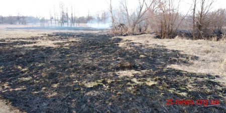 За добу вогнеборцями області ліквідовано 21 пожежу сухої трави та сміття