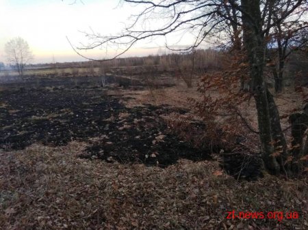 За добу вогнеборцями області ліквідовано 21 пожежу сухої трави та сміття