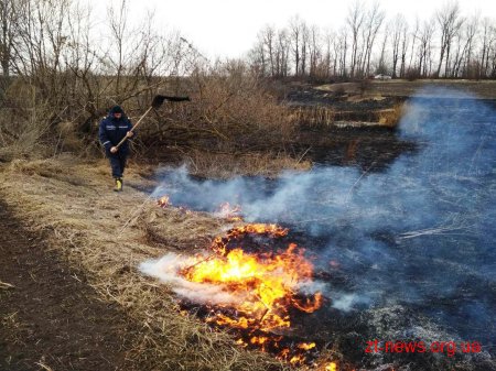 Упродовж доби вогнеборці ліквідували 31 загоряння сухої трави на загальній площі 59,7 га