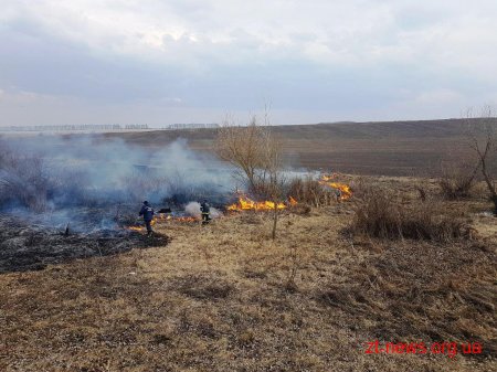 Упродовж доби вогнеборці ліквідували 31 загоряння сухої трави на загальній площі 59,7 га