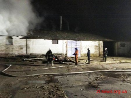 Неподалік Житомира рятувальники гасили пожежу на території приватного підприємства