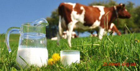 На Житомирщині 223 господарі, які мають трьох корів, отримали компенсації за доїльні апарати