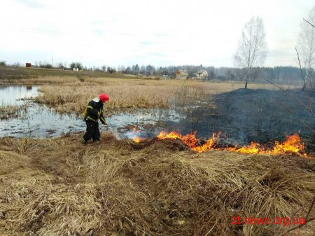 Рятувальники Житомирщини закликають не підпалювати суху траву та сміття