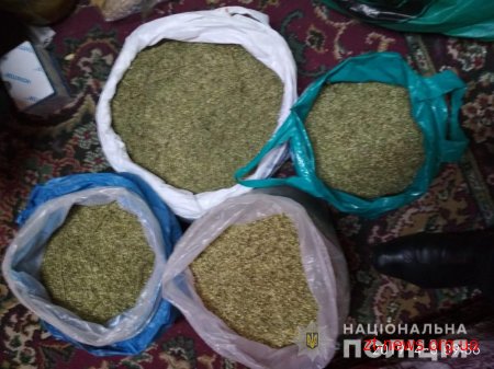 У Житомирі поліцейські під час обшуку вилучили понад 10 кг марихуани