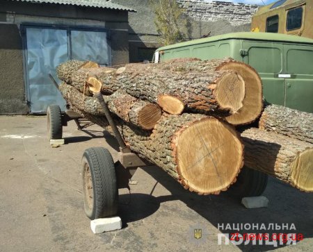 На Олевщині поліцейські затримали крадія деревини