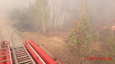 На Житомирщині локалізували масштабні пожежі у лісових масивах на території 3-х районів