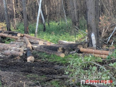 В Олевському районі поліцейські затримали трактор з краденим лісом