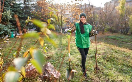 Волонтери Санофі посадили 40 дерев та кущів біля лікарень у Житомирі