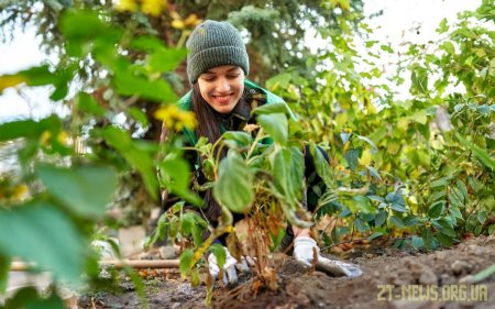 Волонтери Санофі посадили 40 дерев та кущів біля лікарень у Житомирі