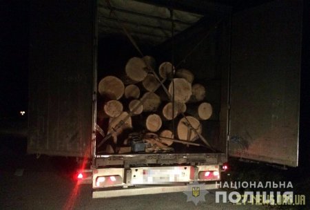 На трасі Київ - Чоп поліцейські затримали вантажівку з нелегальним лісом
