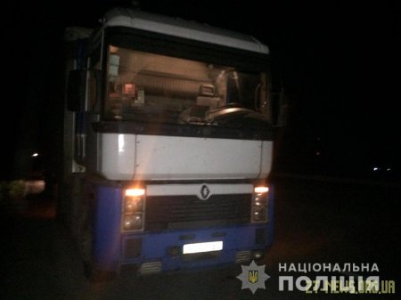 На трасі Київ - Чоп поліцейські затримали вантажівку з нелегальним лісом