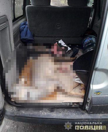 У Малинському районі поліцейські виявили водія, який перевозив убиту косулю
