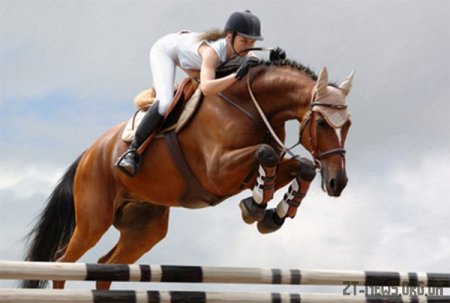 Horsemarket: все для занять кінним спортом і змагань