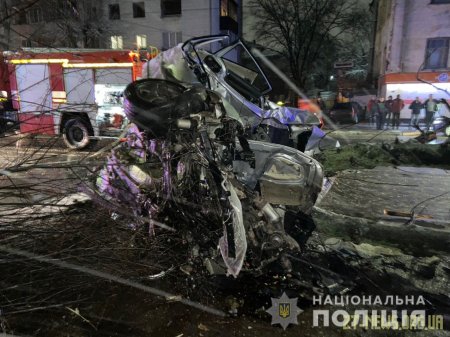 У Житомирі автомобіль влетів в дерево: водій загинув на місці