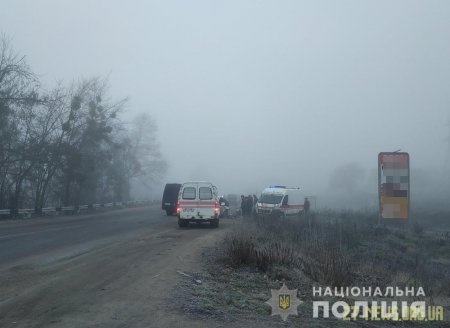 На Житомирщині внаслідок лобового зіткнення легковика та буса постраждало 4 людей