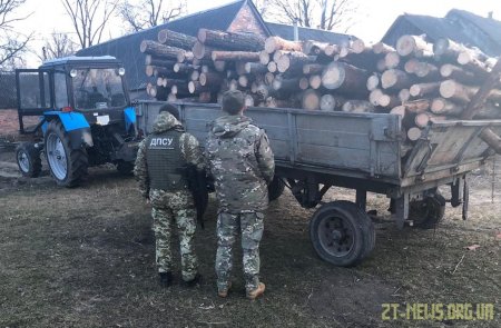 Прикордонники стали на заваді вивозу деревини із зони ЧАЕС