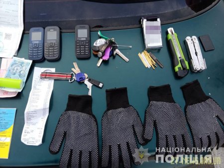 Оперативники Житомирщини затримали у столиці групу домушників
