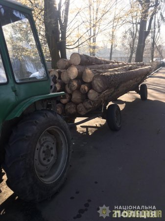 В Олевському районі поліцейські затримали трактор з деревиною без документів