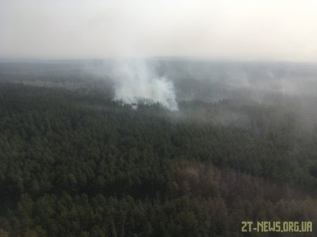 Триває гасіння лісової пожежі в Народицькому районі