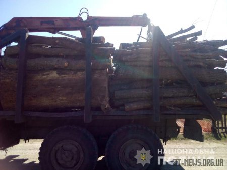 В Ємільчинському районі поліцейські затримали вантажівку з деревиною без документів