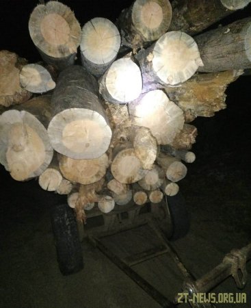 Прикордонники Житомирського загону затримали трактор, що перевозив деревину сумнівного походження
