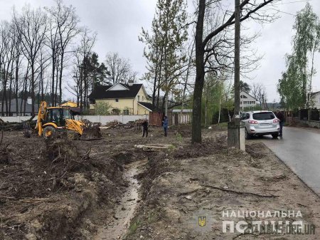 У Житомирському районі викрили чоловіка, який незаконно вирубав дерева