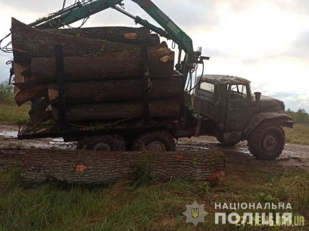 Лугинські правоохоронці затримали вантажівку з нелегальним лісом