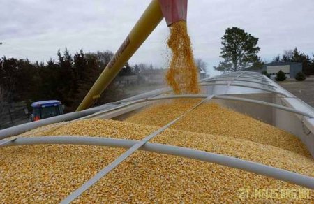 На Житомирщині троє чоловіків вкрали з агропідприємства 16 тонн зерна кукурудзи
