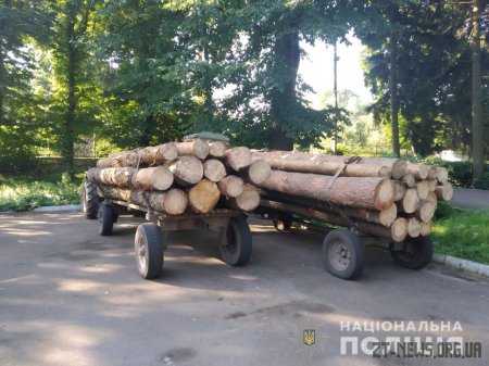 В Олевському районі поліцейські та лісники затримали трактори з краденою деревиною